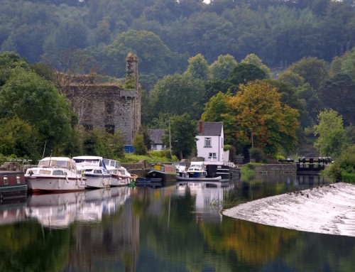 Fishing Breaks in Co. Carlow