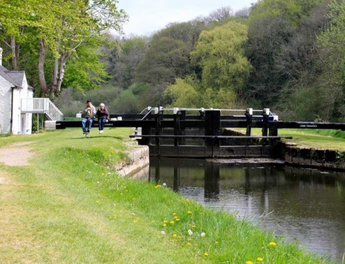 Walking Holidays in County Carlow, Barrow Valley